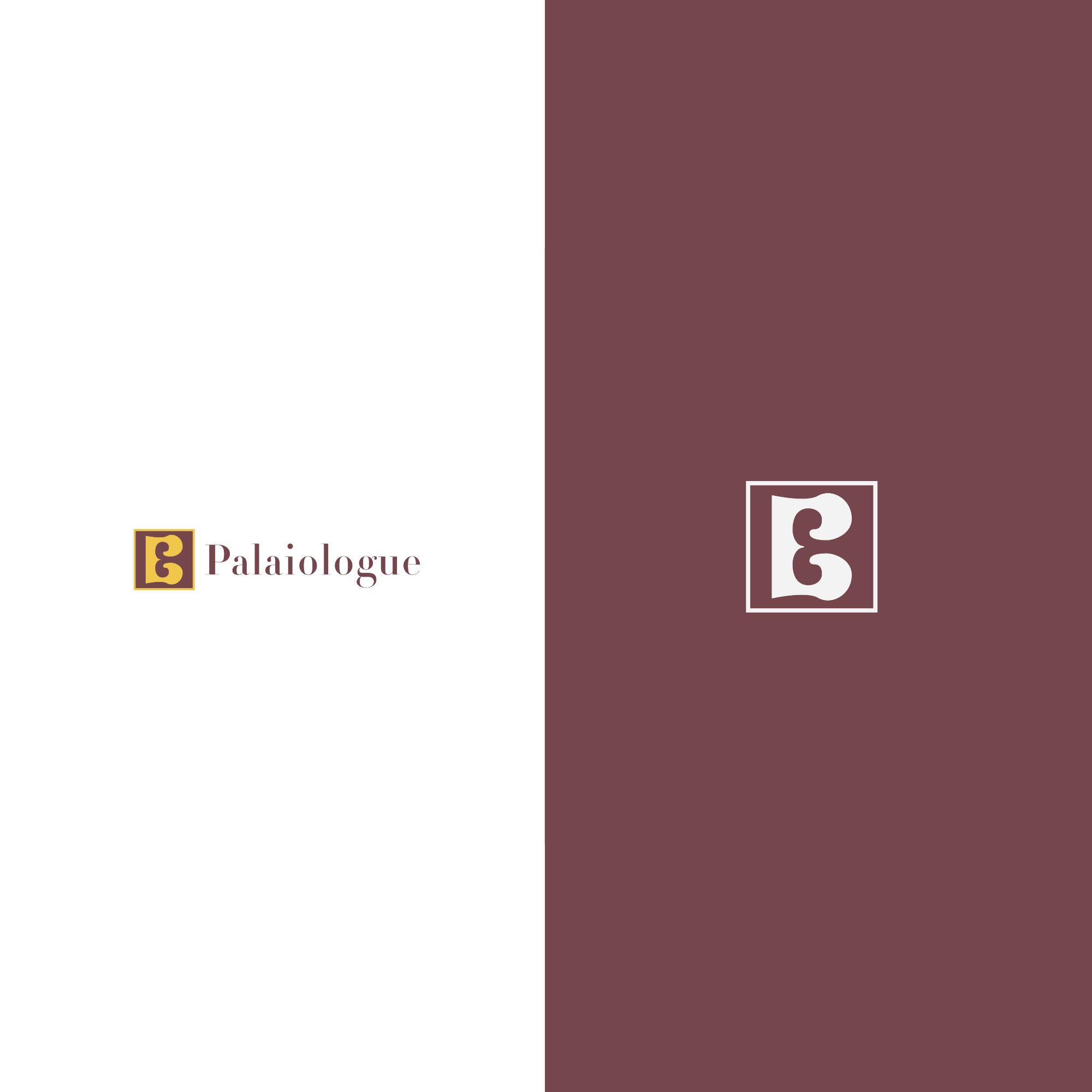 Color Palette and Visual Language – Palaiologue Branding